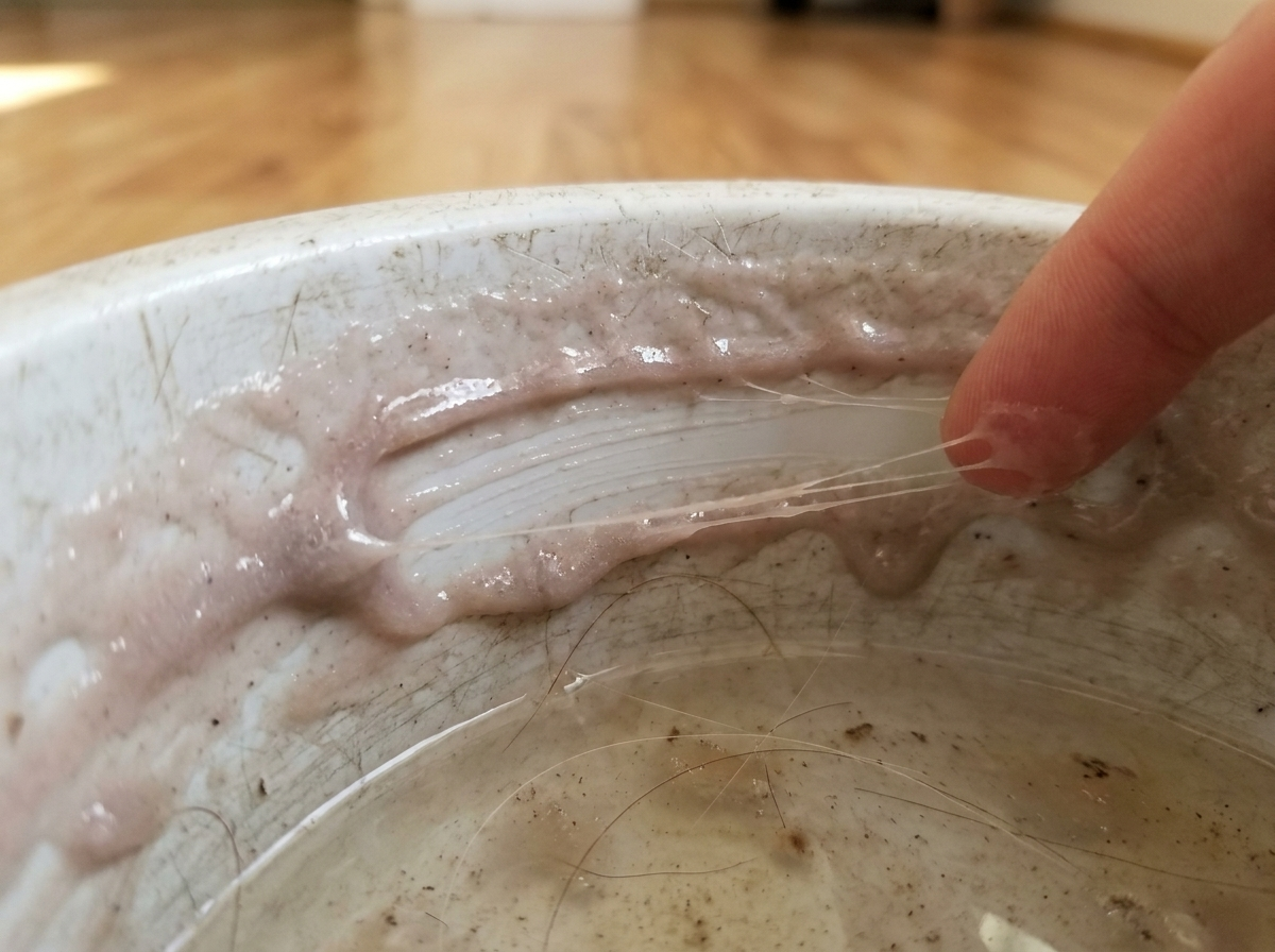 Finger faehrt durch den schleimigen Biofilm am Rand eines alten Plastiknapfs